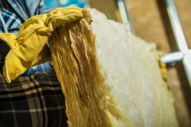 Best Spray Foam Insulation in Beulaville, NC