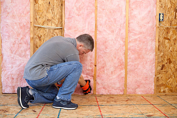 Best Residential Insulation in Beulaville, NC