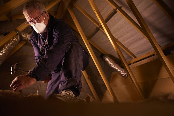  Beulaville, NC Insulation Contractor Pros
